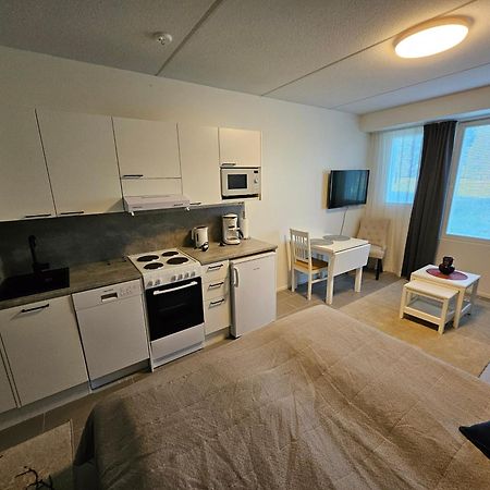 Levillenet Studio Apartment At Levi City Centre Zewnętrze zdjęcie