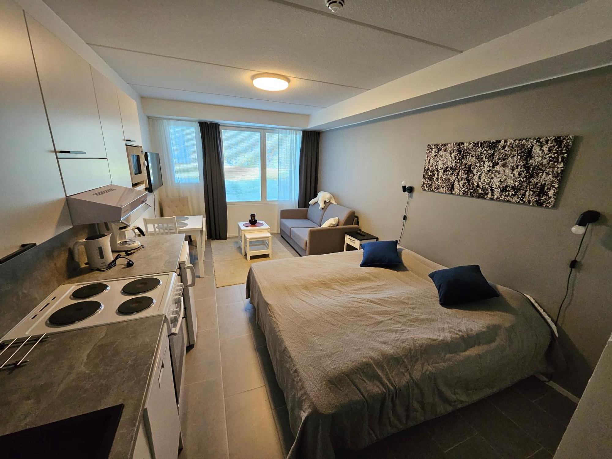 Levillenet Studio Apartment At Levi City Centre Zewnętrze zdjęcie